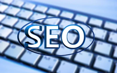 Quelles formations pour le SEO et les campagnes Paid?